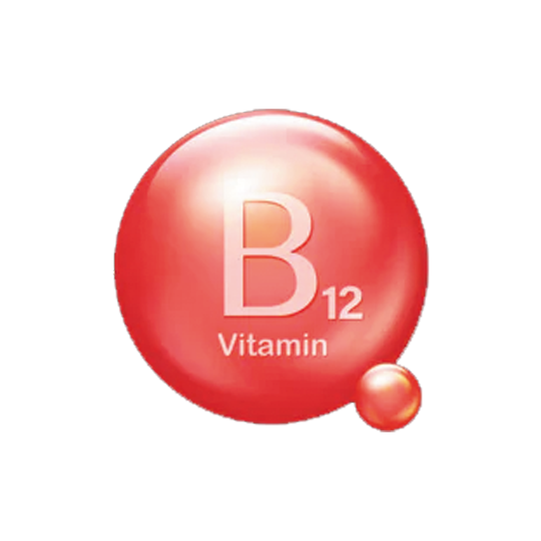 vitaminb12.png